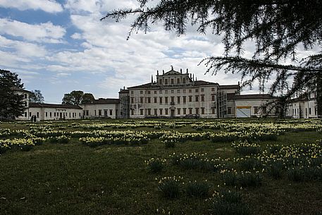 Villa Manin